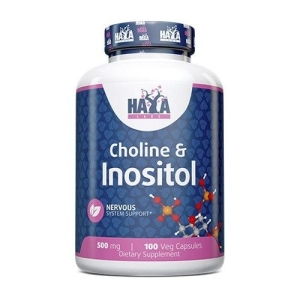 Haya Labs Choline  Inositol 100 kaps. (Cholino bitartratas ir Inozitolis)