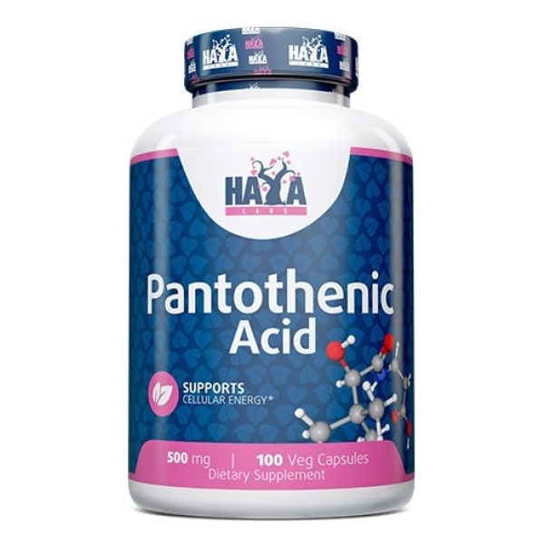Haya Labs Pantothenic Acid (Pantoteno rūgštis (vitaminas B5)) 100 kaps.